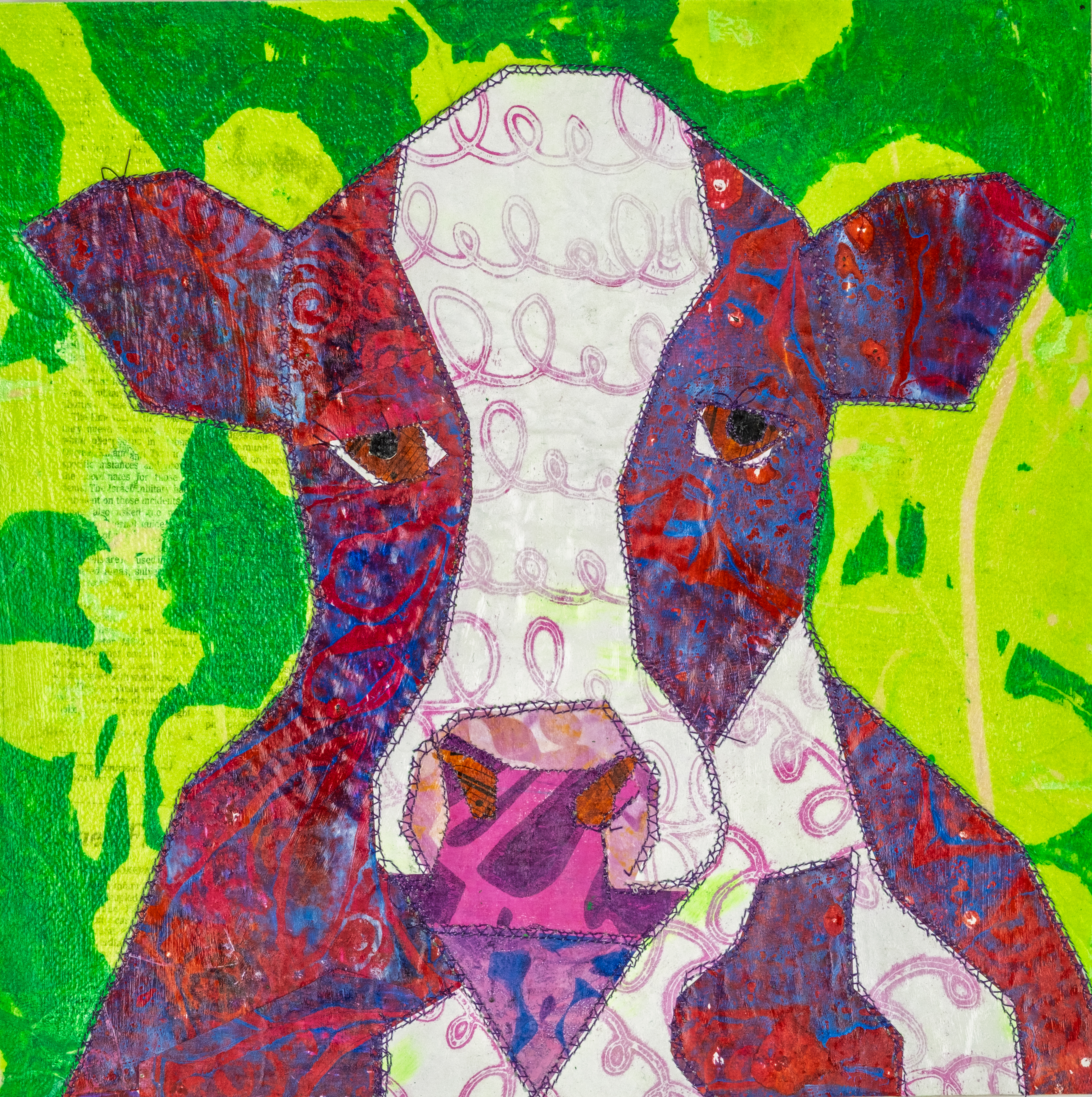 Cow 2